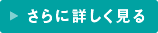 さらに詳しく見る